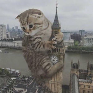 Meet your Posher, Catzilla